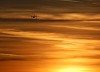Thumbs/tn_Dsc_9160.jpg