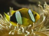 Thumbs/tn_Dsc_7040.jpg