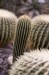 Thumbs/tn_Dsc_7061.jpg
