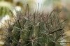 Thumbs/tn_Dsc_7114.jpg