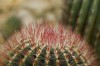 Thumbs/tn_Dsc_7115.jpg