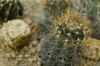 Thumbs/tn_Dsc_7119.jpg